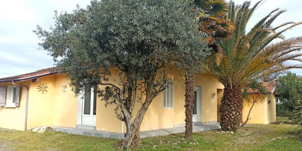 maison à ST SEVER (40500)
