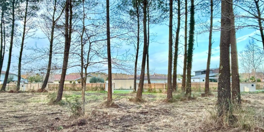 terrain à SEIGNOSSE (40510)