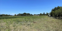 terrain à LABATUT (40300)