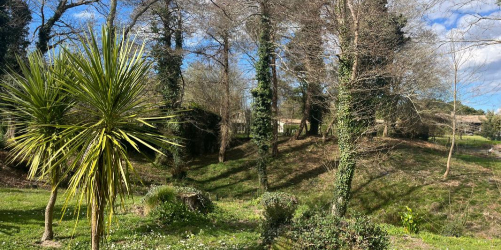 terrain à SAUBION (40230)