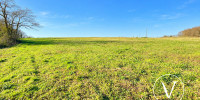terrain à MONSEGUR (40700)