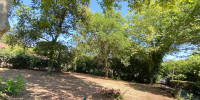 terrain à MESSANGES (40660)