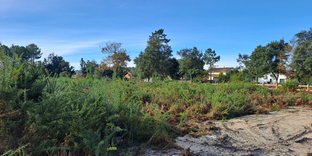 terrain à MOLIETS ET MAA (40660)