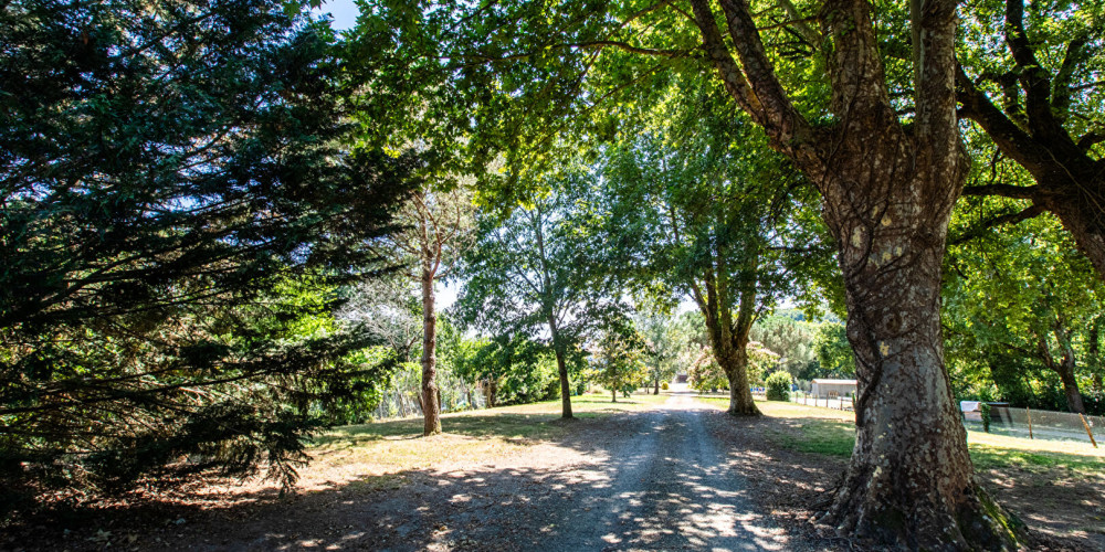 maison à AIRE SUR L ADOUR (40800)