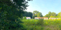terrain à MORCENX (40110)