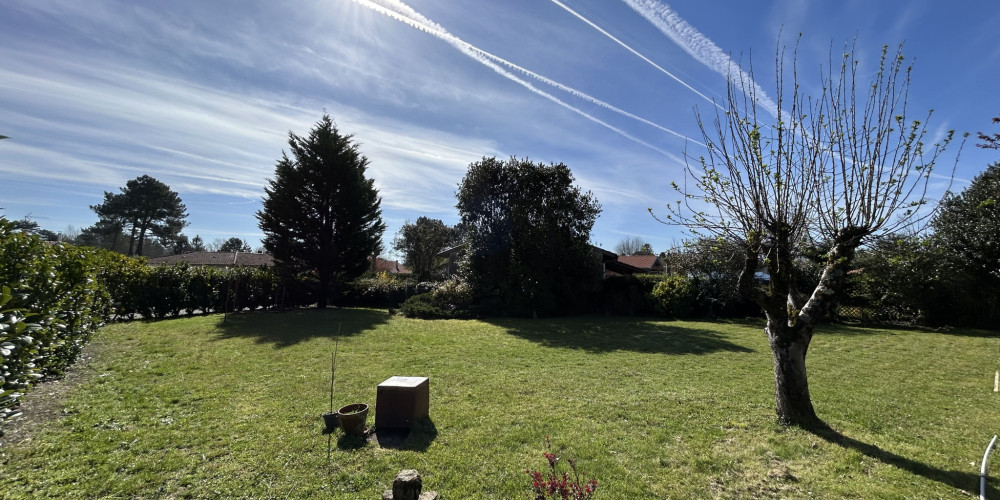 terrain à SEIGNOSSE (40510)