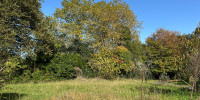 terrain à ST MARTIN DE HINX (40390)