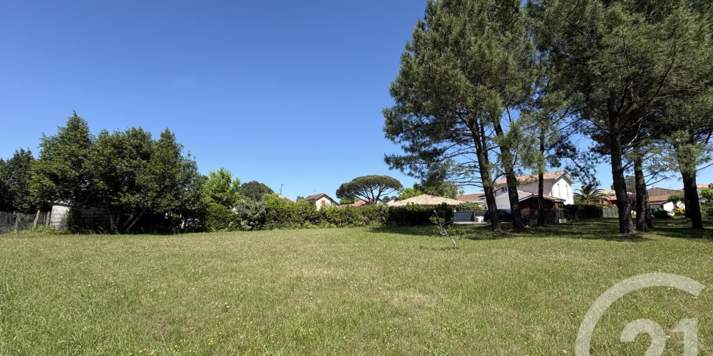terrain à ONDRES (40440)