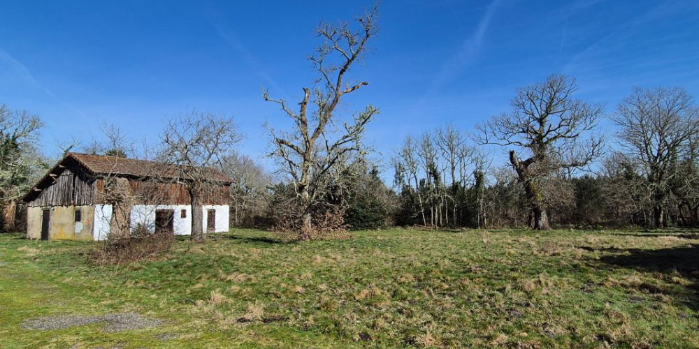 maison à SABRES (40630)