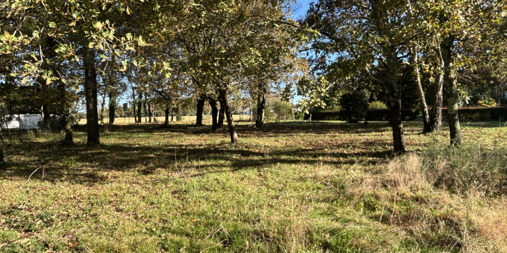 terrain à MAGESCQ (40140)