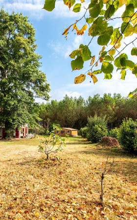 Maison  AIRE SUR L ADOUR