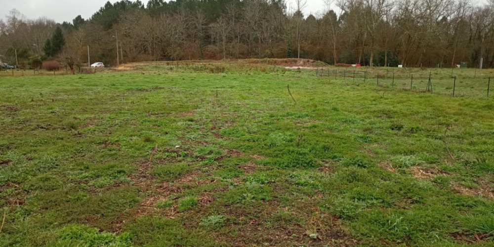 terrain à RION DES LANDES (40370)