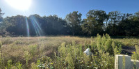 terrain à TOSSE (40230)