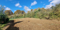 terrain à MEZOS (40170)