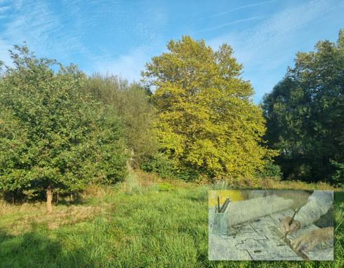 terrain  ST MARTIN DE HINX