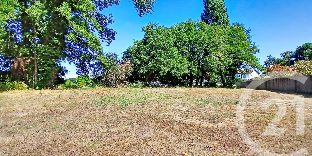 terrain à ONDRES (40440)