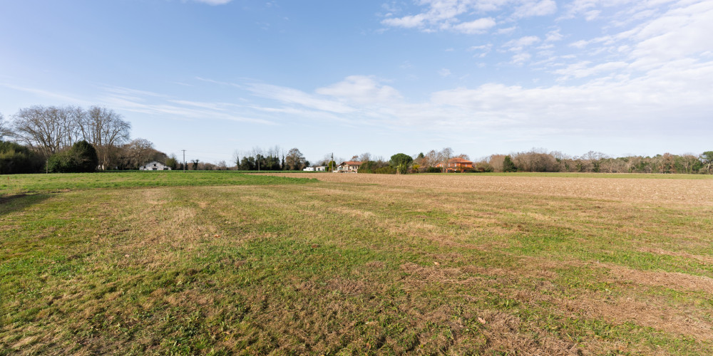 terrain à ST MARTIN DE HINX (40390)