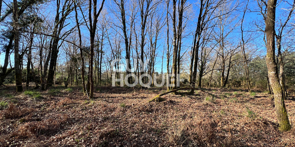 terrain à CASTETS (40260)