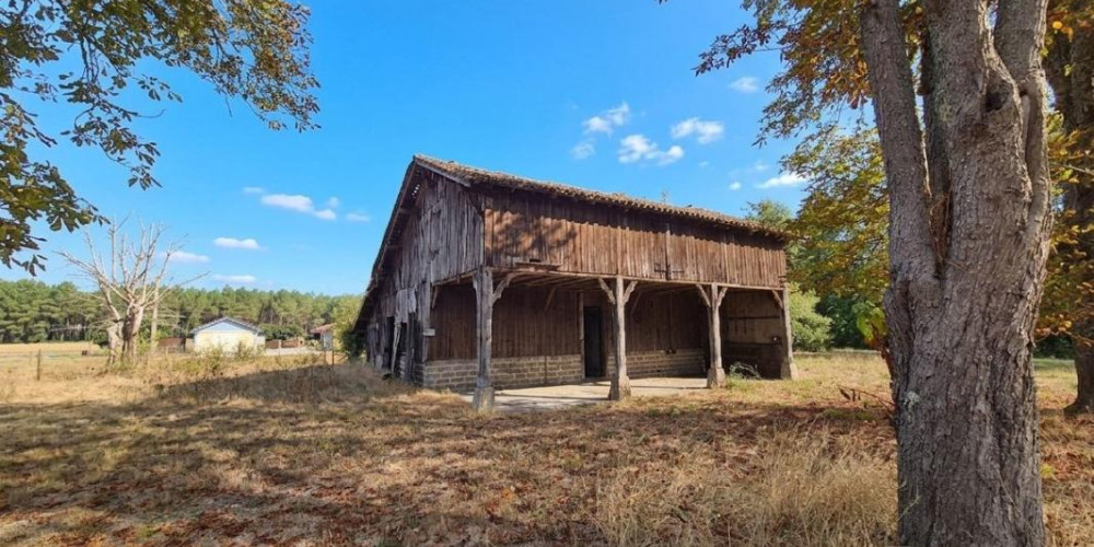 maison à RION DES LANDES (40370)