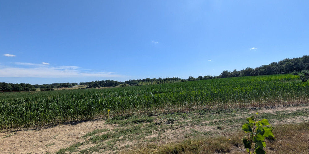 terrain à MONT DE MARSAN (40000)