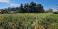 terrain à PEY (40300)