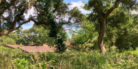 terrain à MOLIETS ET MAA (40660)