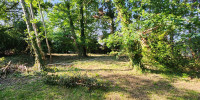 terrain à SANGUINET (40460)