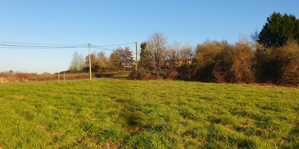 terrain à ST SEVER (40500)