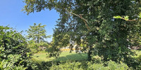 terrain à PARENTIS EN BORN (40160)