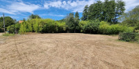 terrain à LIT ET MIXE (40170)