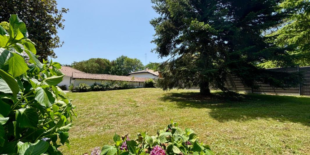 terrain à SAUBION (40230)
