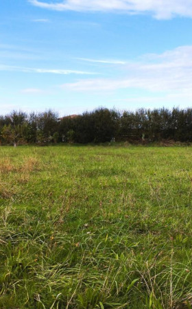 Terrain  STE COLOMBE