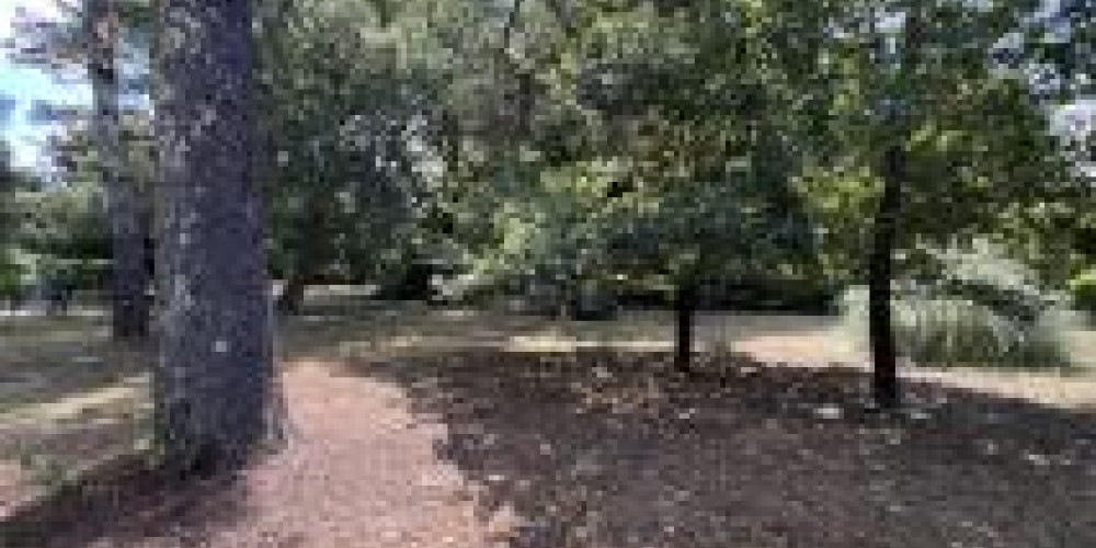 terrain à AZUR (40140)