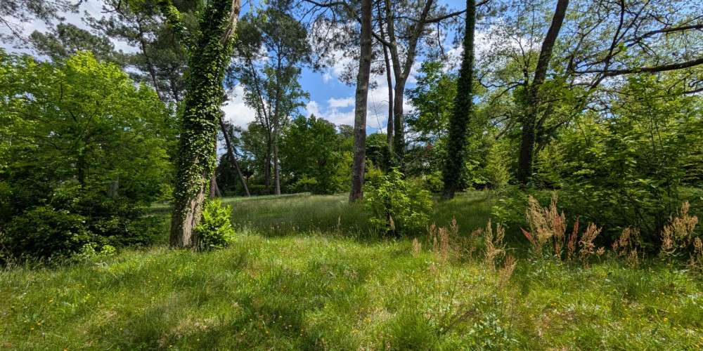 terrain à MONT DE MARSAN (40000)