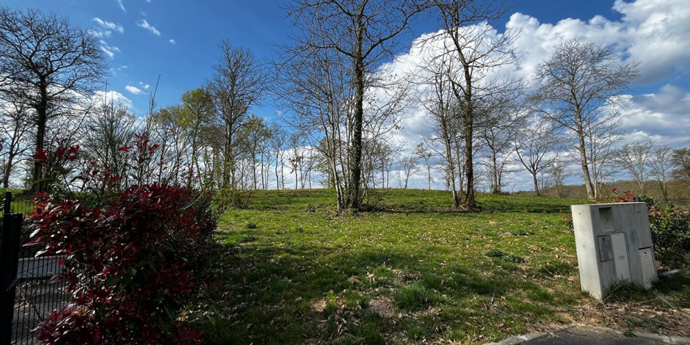 terrain à MAZEROLLES (40090)