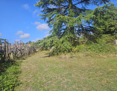 terrain  PARENTIS EN BORN
