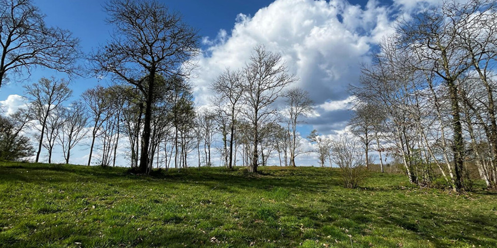 terrain à MAZEROLLES (40090)