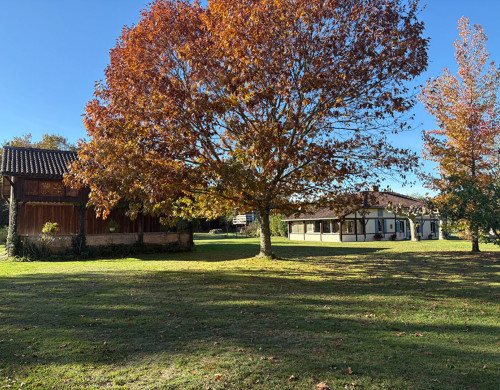 maison  RION DES LANDES