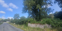 terrain à PARENTIS EN BORN (40160)
