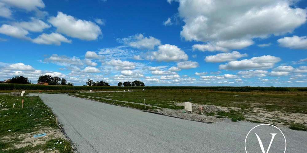 terrain à MONSEGUR (40700)