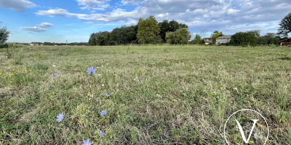 terrain à MONSEGUR (40700)