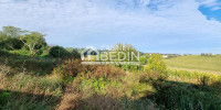 maison à MONTFORT EN CHALOSSE (40380)