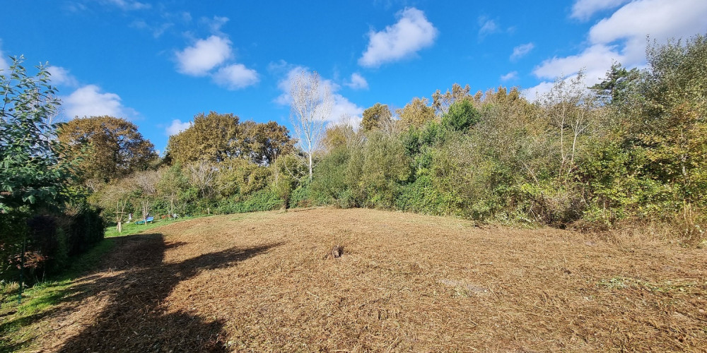 terrain à MEZOS (40170)