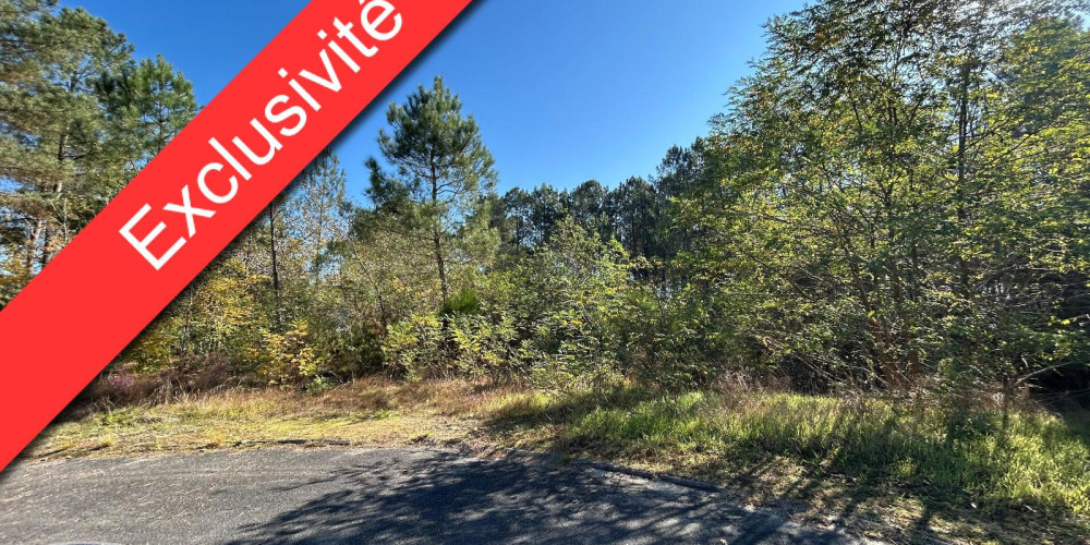 terrain à RETJONS (40120)