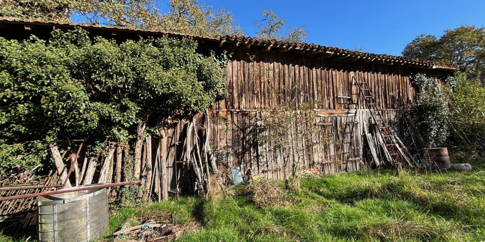 maison à BELIS (40120)