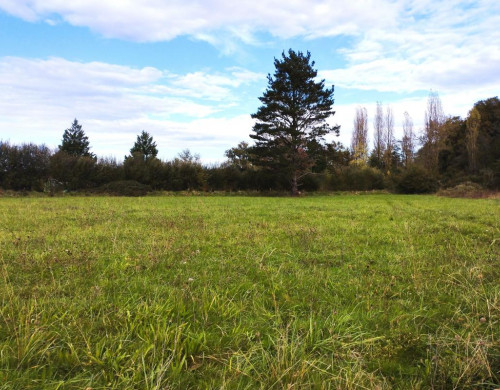 terrain  STE COLOMBE