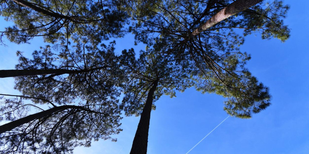 maison à SOORTS HOSSEGOR (40150)