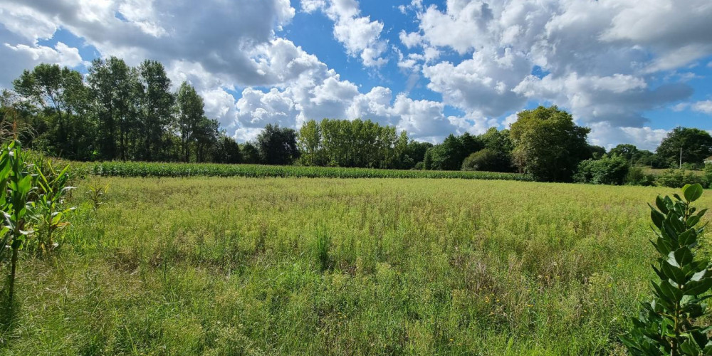 terrain à PEYREHORADE (40300)