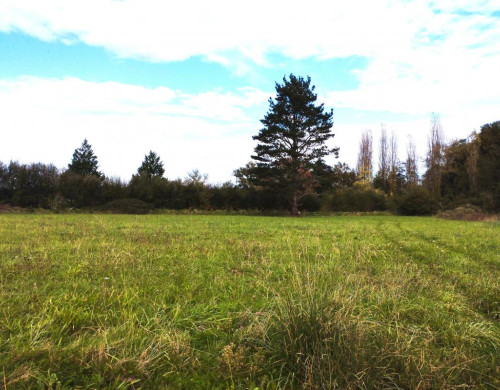 terrain  STE COLOMBE