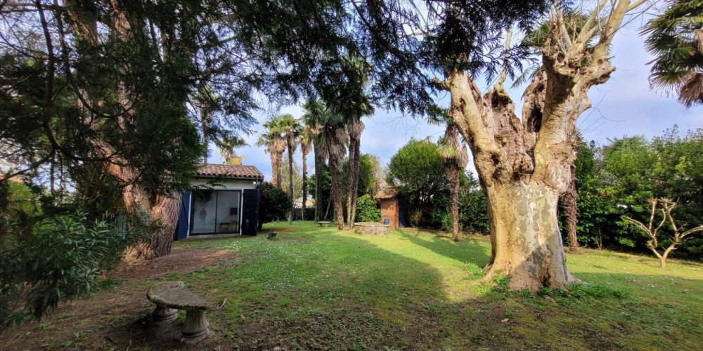 maison à ST GEOURS DE MAREMNE (40230)